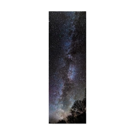 Brenda Petrella Photography Llc 'Backyard Milky Way' Canvas Art,8x24